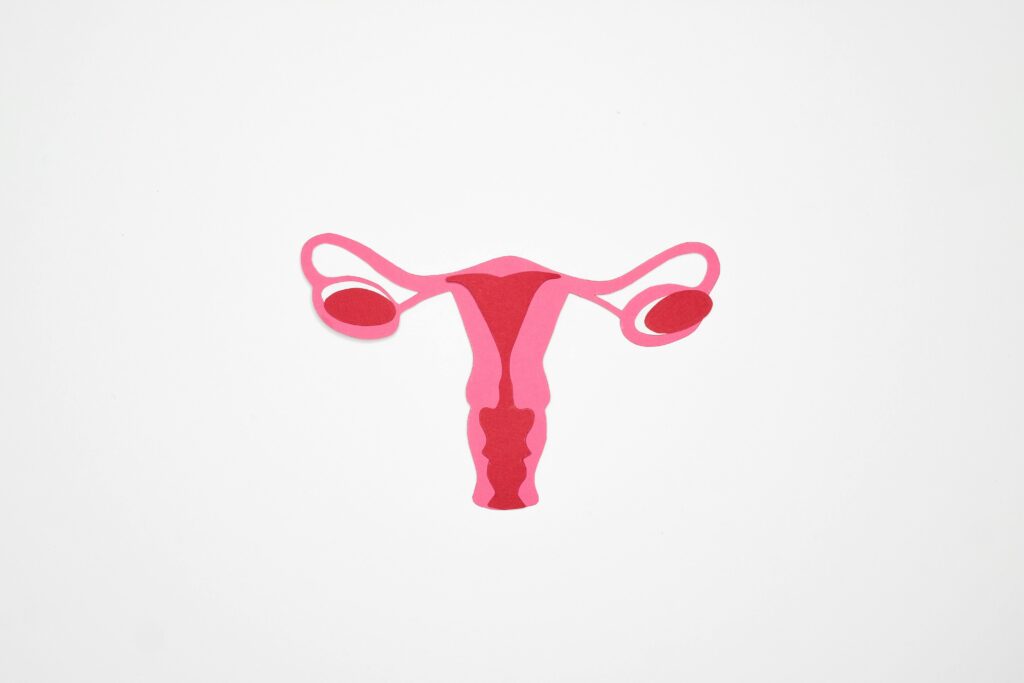 pexels-photo-7467100-7467100 Minimalist graphic illustration of the female reproductive system in shades of pink on a white background.