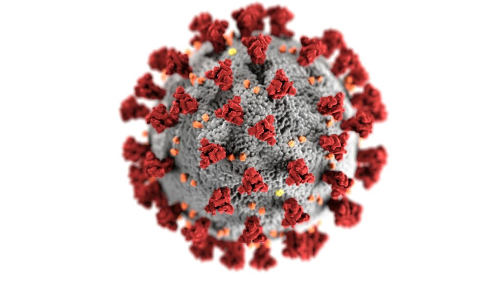 Detailed 3D representation of the coronavirus structure highlighting spike proteins.